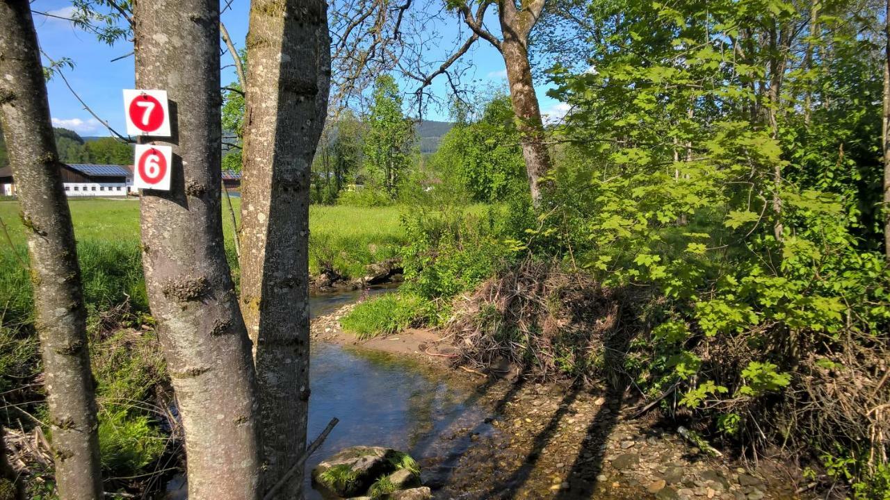 Ferien Vom Ich, Bayerischer Wald, Hotel & Restaurant Neukirchen  Bagian luar foto
