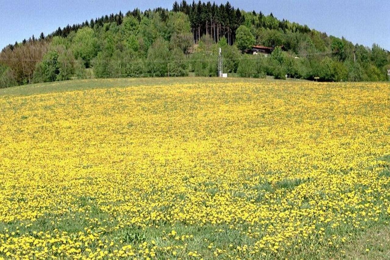 Ferien Vom Ich, Bayerischer Wald, Hotel & Restaurant Neukirchen  Bagian luar foto