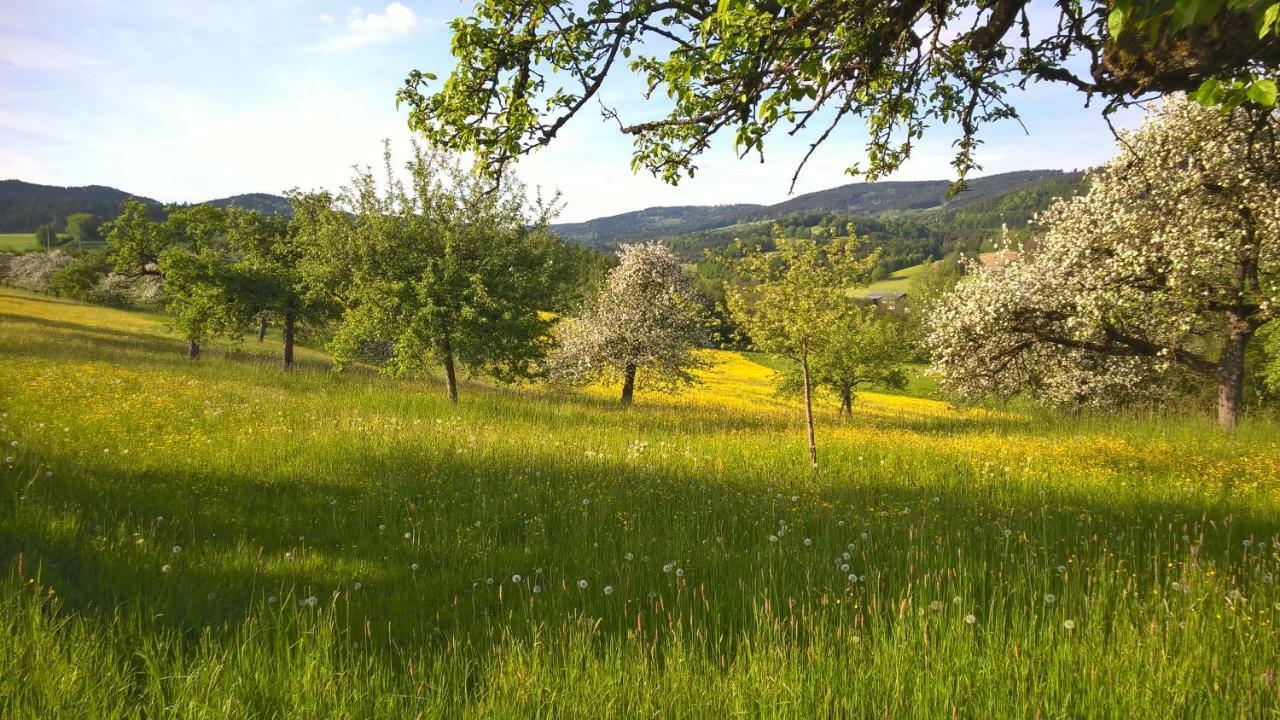 Ferien Vom Ich, Bayerischer Wald, Hotel & Restaurant Neukirchen  Bagian luar foto
