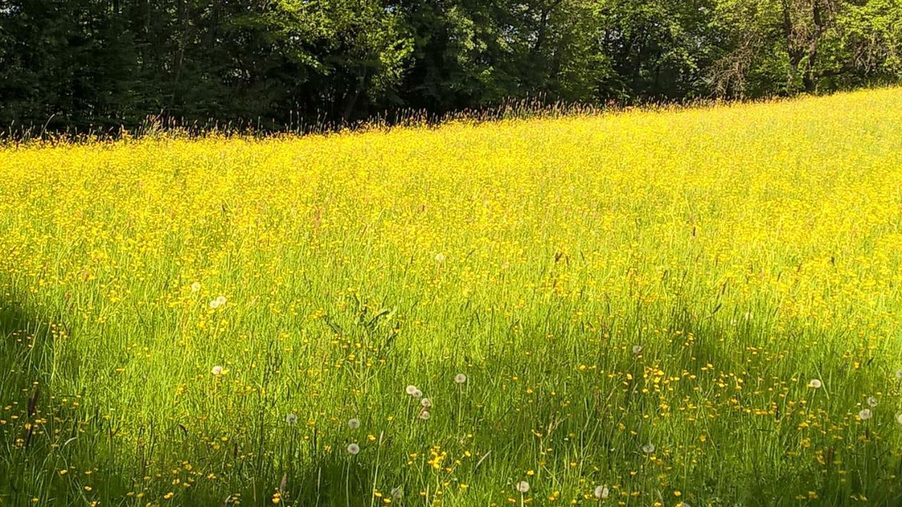 Ferien Vom Ich, Bayerischer Wald, Hotel & Restaurant Neukirchen  Bagian luar foto