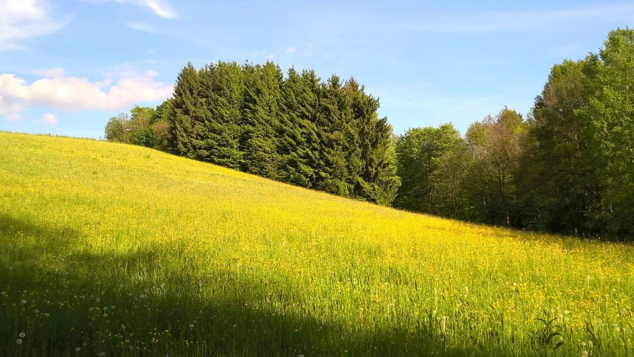 Ferien Vom Ich, Bayerischer Wald, Hotel & Restaurant Neukirchen  Bagian luar foto