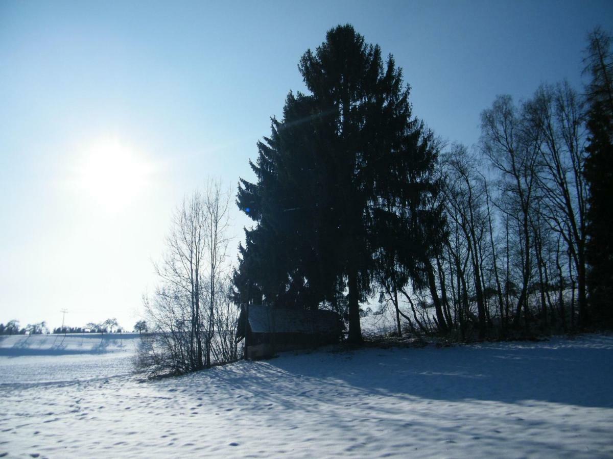 Ferien Vom Ich, Bayerischer Wald, Hotel & Restaurant Neukirchen  Bagian luar foto